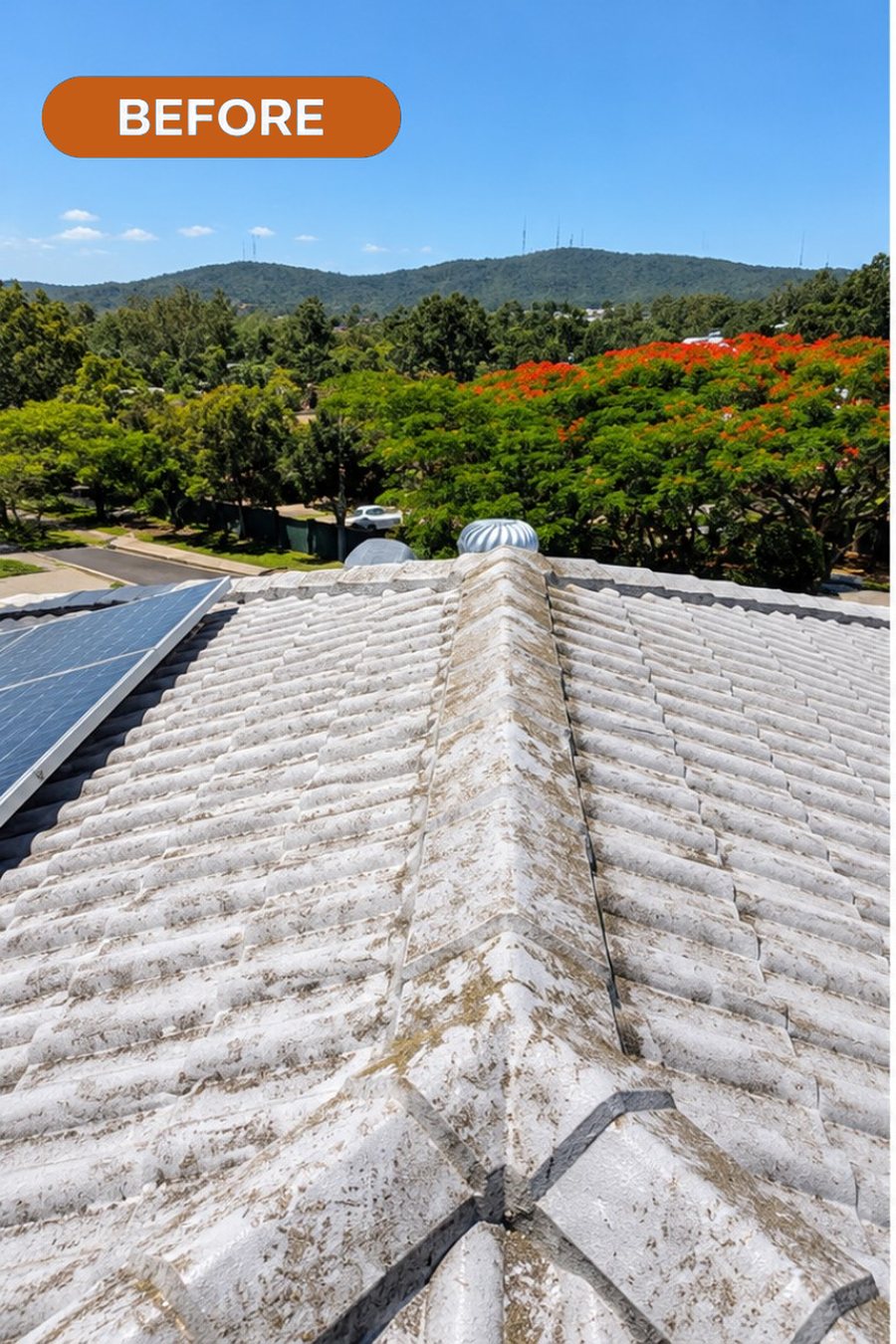 Roof before, weathered and covered in lichen